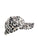 Leopard Ezra Ball Cap