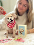 Poodle Pop-Up