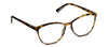 Bengal Tortoise Readers