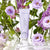 Lavender Land Body Creme 3oz.