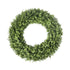 Uv Boxwood Round Wreath 19 Inch