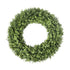 19 Inch Boxwood Wreath