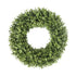 17.5 Inch Boxwood Round Wreath