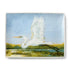 Coastal Birds Rectangular Platter 16" X 12"
