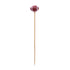 Sports Picks (Football), Pack of 100