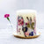 Small Round Botanical Candle Blushing Rosewood