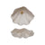 Clam Shell Shaped Dish With Gold Electroplated Faux Pearl