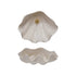 Clam Shell Shaped Dish With Gold Electroplated Faux Pearl