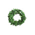 Mini Preserved Boxwood Wreath