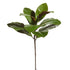 25" Magnolia Leaf Spray