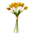 12" Yellow Tulip Bundle