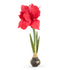 19" Real Touch Red Amaryllis Bulb
