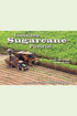 Louisiana Sugarcane Pictorial