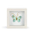 Blue Skies Ahead Teal Butterfly Shadow Box