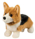 Gizmo Corgi