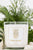 Blonde Candle - Signature Scent 
