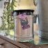 Kiss In The Rain Small Jar Candle