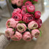 11" Ranunculus Bundle
