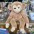 Bernard Monkey