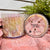 Sweet Grace Collection #058