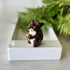 Mr. Squirrel Mini-Squirrel