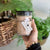 Sweet Grace Small Jar Candle
