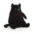 Black Amore Cat