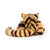 Taylor Tiger Little