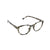 Canyon Gray Tortoise Readers