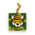 If I Were A Tiger Book